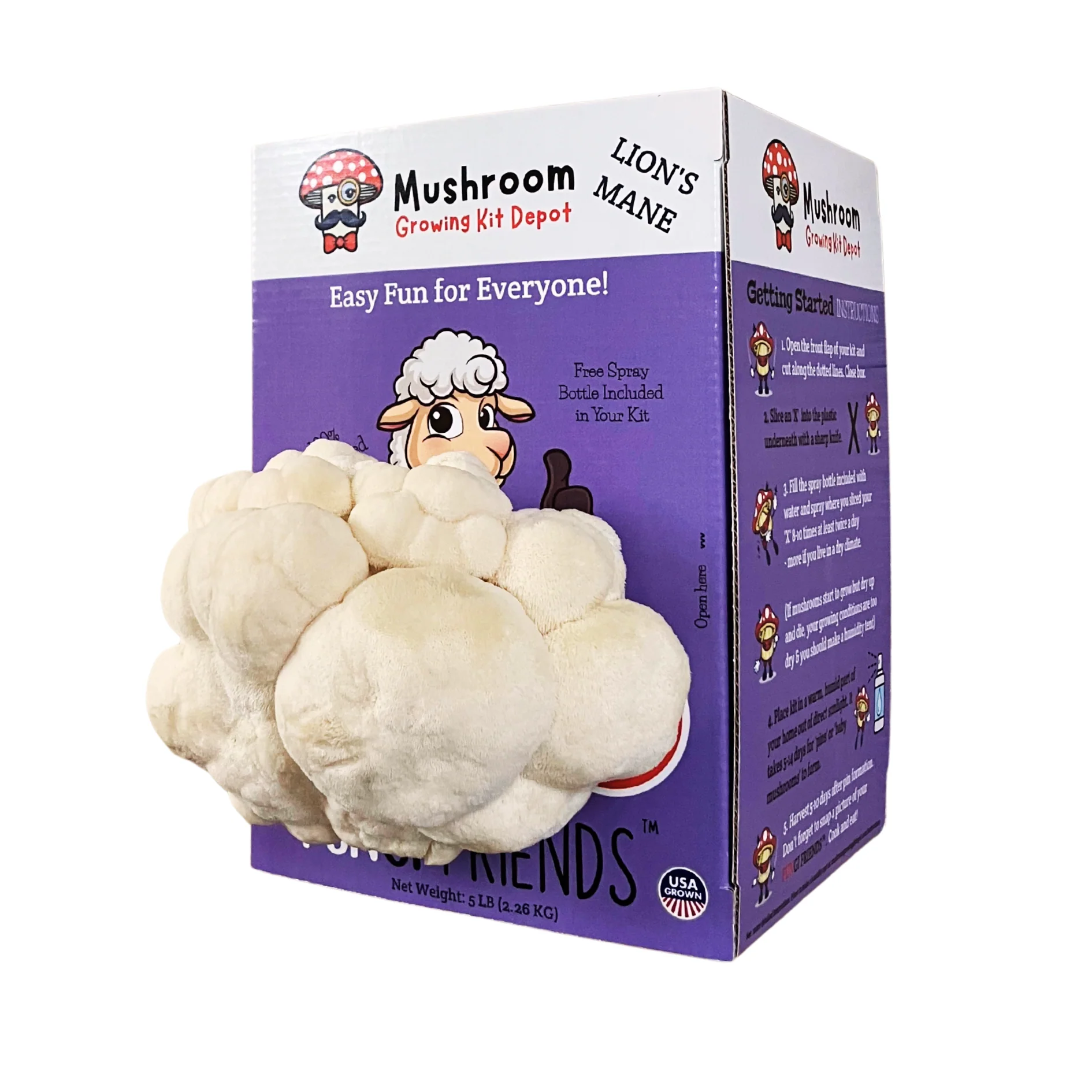 Product image 4