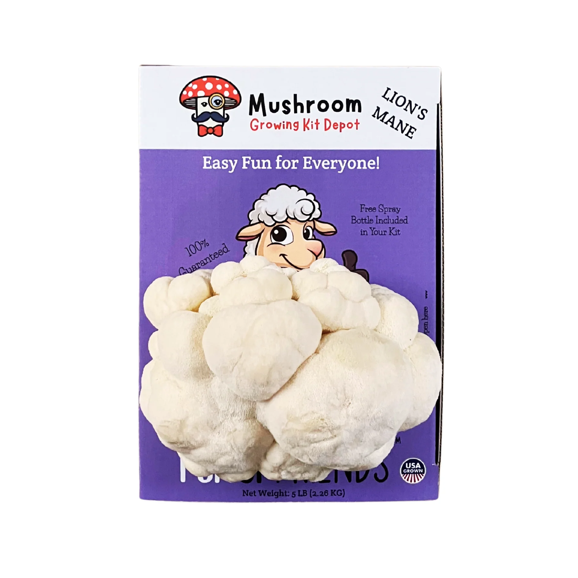 Product image 5